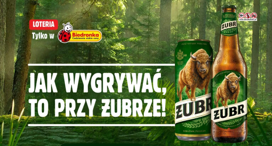 Biedronka loteria Jak wygrywać to przy żubrze