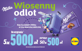 Konkurs "Wiosenny odlot" Lidl