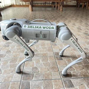 Konkurs "Wymyśl imię dla psa robota"