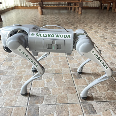 Konkurs "Wymyśl imię dla psa robota"