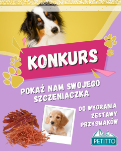 Konkurs "Petitto Marzec 2026"