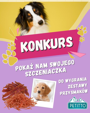 Konkurs "Petitto Marzec 2026"