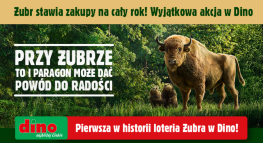 Loteria "Rok zakupów od Żubra w Dino" 18+