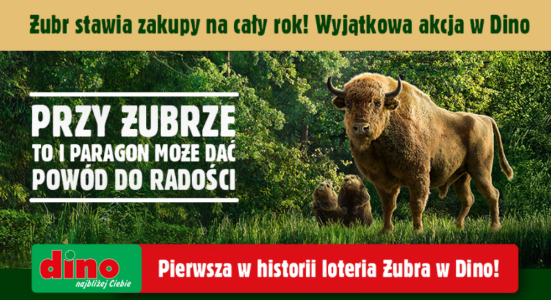 Loteria "Rok zakupów od Żubra w Dino" 18+