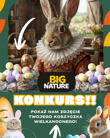 Konkurs "Wielkanoc 2026"