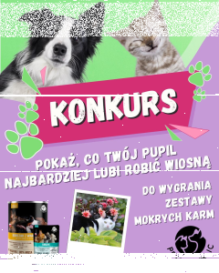 Konkurs fotograficzny dla psiarzy i kociarzy