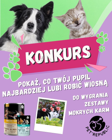 Konkurs fotograficzny dla psiarzy i kociarzy