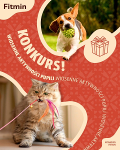 Konkurs fotograficzny "Wiosenna Aktywizacja Twojego Pupila"