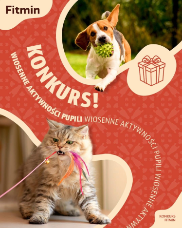 Konkurs fotograficzny "Wiosenna Aktywizacja Twojego Pupila"