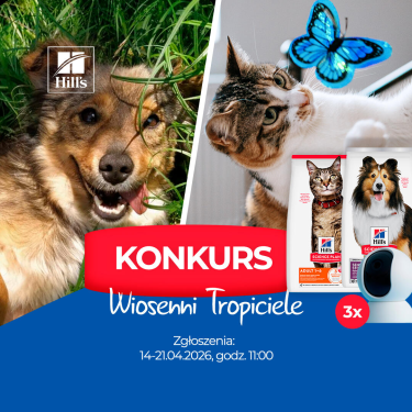Konkurs "Wiosenni Tropiciele"