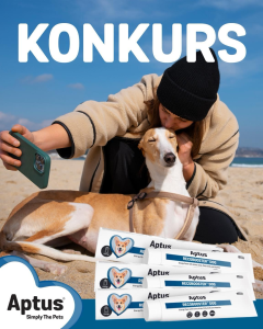 Konkurs fogotraficzny od Aptus Polska