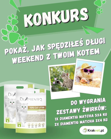 Konkurs fotograficzny dla kociarzy