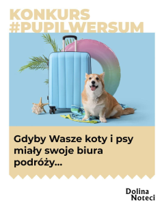 Konkurs "#Pupilwersum"