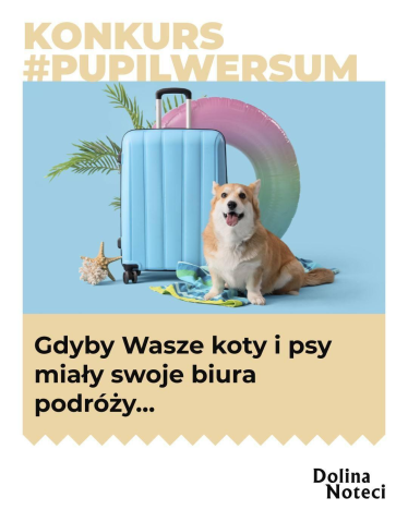 Konkurs "#Pupilwersum"