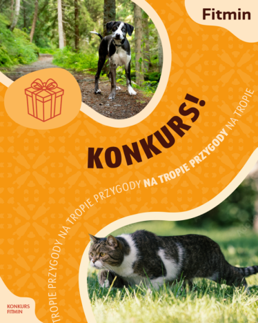 Konkurs "Na tropie przygody"