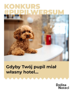 Konkurs "#pupilwersum"
