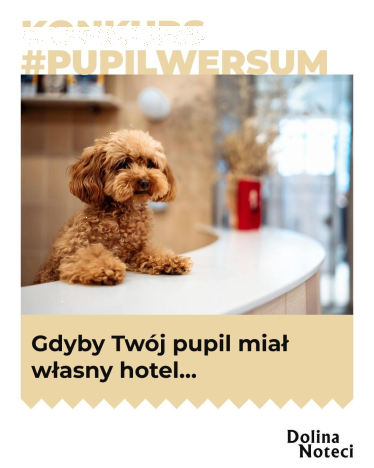 Konkurs "#pupilwersum"