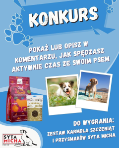 Konkurs z psem