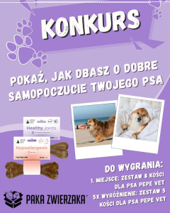 Konkurs dla właścicielów psów
