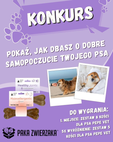 Konkurs dla właścicielów psów