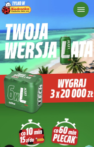 Konkurs "Twoja Wersja Lata" Biedronka, 18+