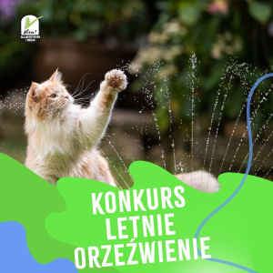 Konkurs "Letnie orzeźwienie z Cote" 18+