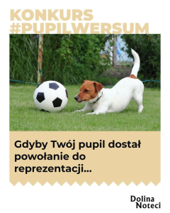 Konkurs "#pupilwersum"