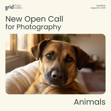 Konkurs "Animals Open Call 2026 Grid Photo Gallery"