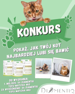 Konkurs fotograficzny dla kociarzy!