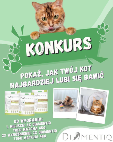Konkurs fotograficzny dla kociarzy!
