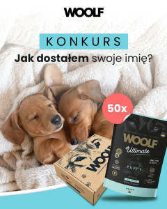 Konkurs "Jak dostałem swoje imię?"