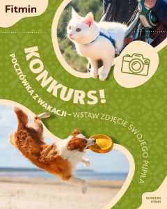 Konkurs "Pocztówka z wakacji"