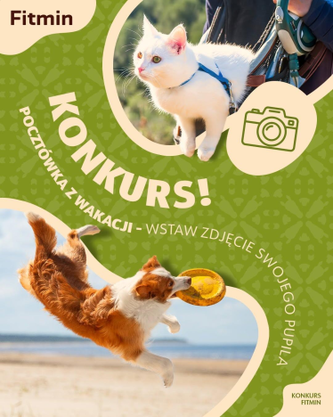 Konkurs "Pocztówka z wakacji"