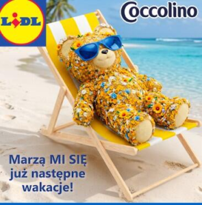 Konkurs "Marzą MI SIĘ już następne wakacje" Lidl