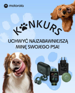 Konkurs "Uchwyć najzabawniejszą minę swojego psa"