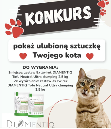 Konkurs fotograficzny dla kociarzy