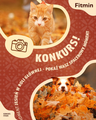 Konkurs "Jesień w roli głównej"