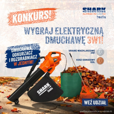 Konkurs "Jesienią denerwują mnie liście" do godz. 10:00