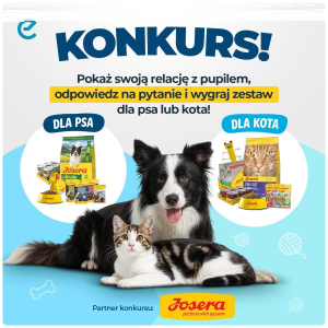 Konkurs "Dzień Zwierząt"