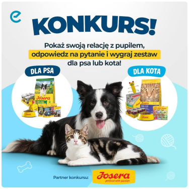 Konkurs "Dzień Zwierząt"