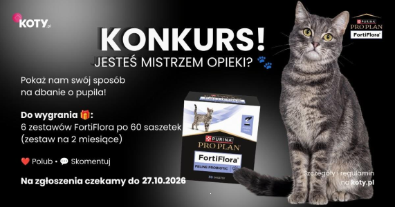 Konkurs "Jesteś mistrzem opieki?"
