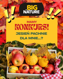 Konkurs Jesień pachnie dla mnie…" z Big Nature