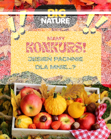 Konkurs Jesień pachnie dla mnie…" z Big Nature