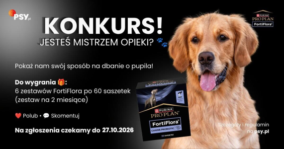 Konkurs "Jesteś Mistrzem Opieki?"