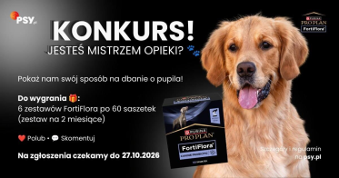 Konkurs "Jesteś Mistrzem Opieki?"