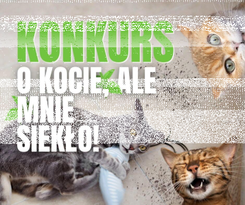 Urodzinowy konkurs myKotty