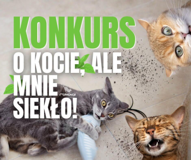 Urodzinowy konkurs myKotty