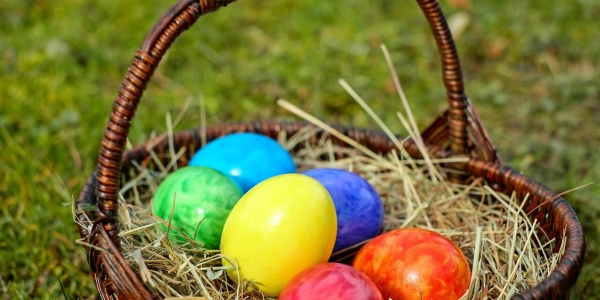 🌷🐣 Wielkanocne życzenia od zespołu e-konkursy.info 🐰🌼